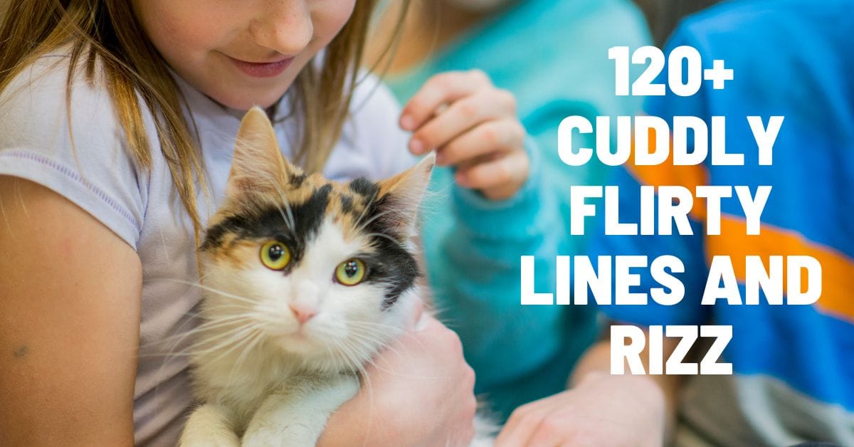 120+ Cuddly Flirty Lines and Rizz