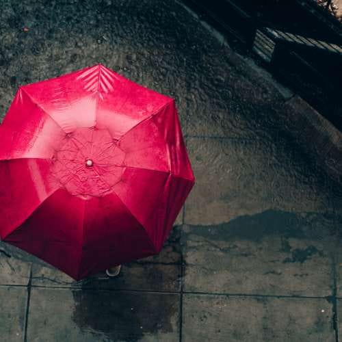 Flirty Lines on Rain